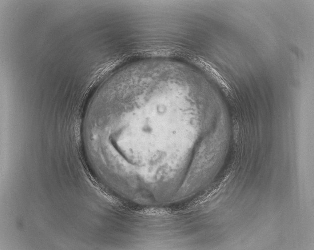 X0000115630537200912011443