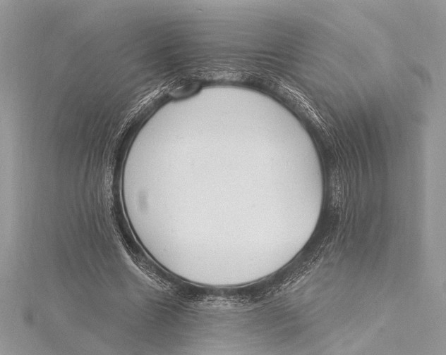 X0000115630538200912011443