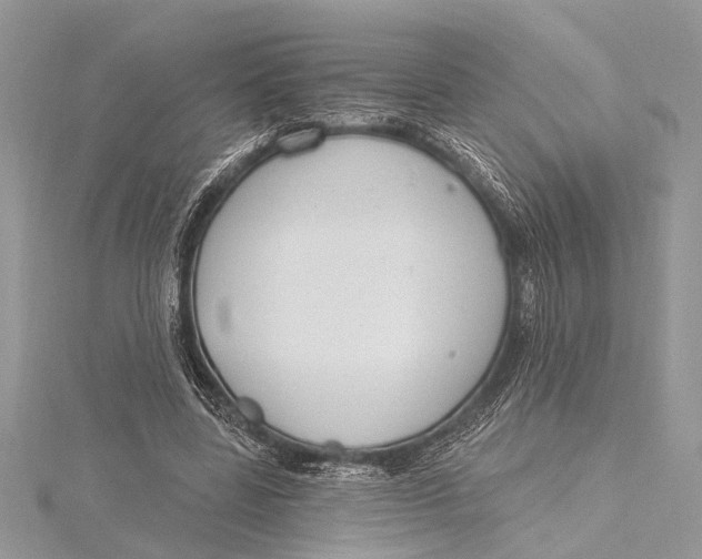 X0000115630539200912011443