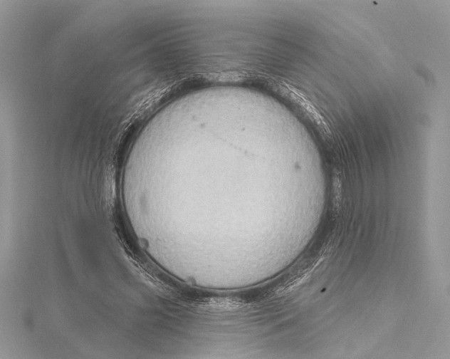 X0000115630541200912011443