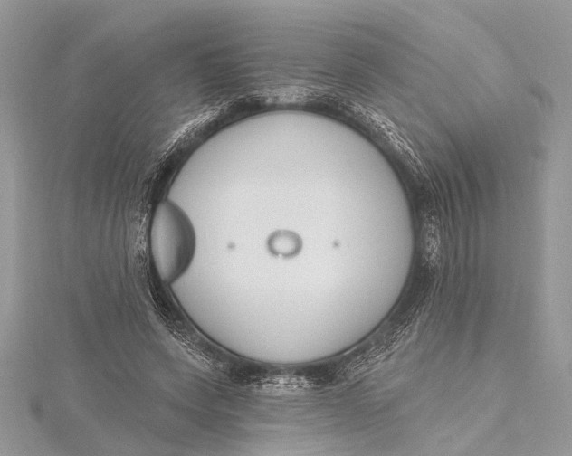 X0000115630543200912011443