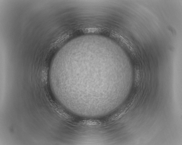 X0000115630545200912011443