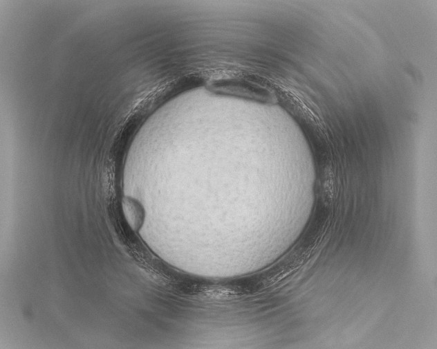 X0000115630547200912011443