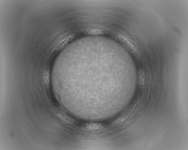 X0000115630549200912011443