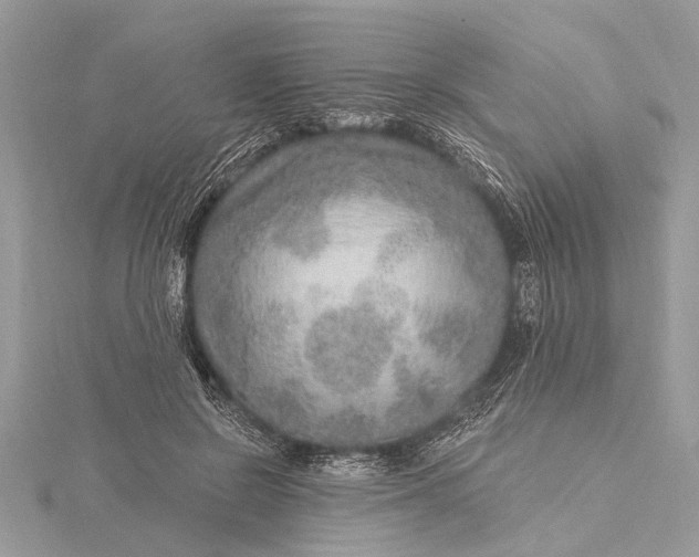 X0000115630550200912011443