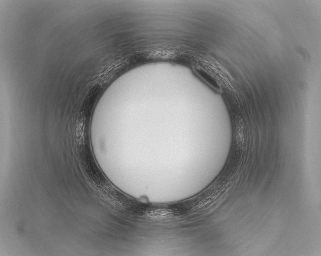 X0000115630551200912011443