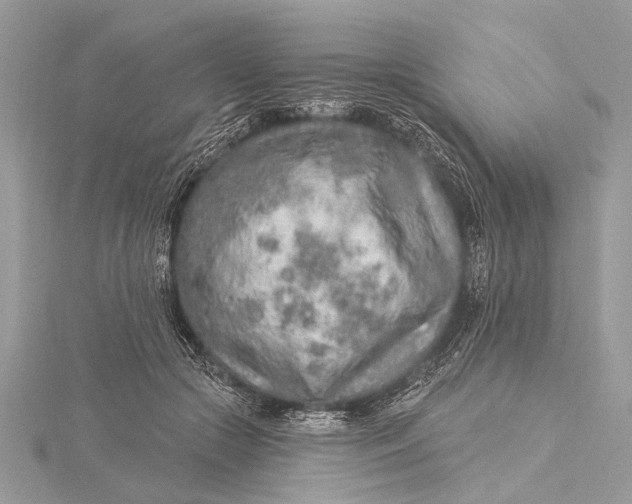 X0000115630553200912011443