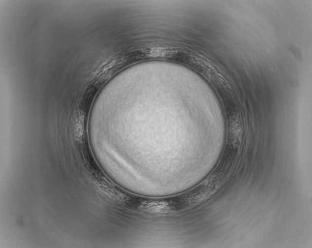 X0000115630554200912011443