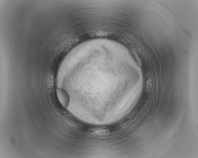 X0000115630555200912011443