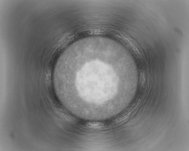 X0000115630557200912011443