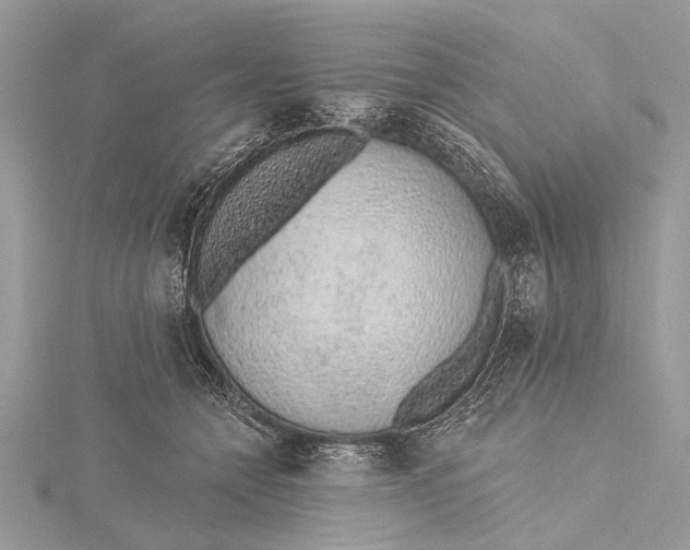 X0000115630558200912011443