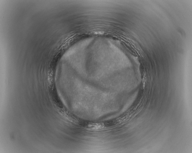 X0000115630559200912011443