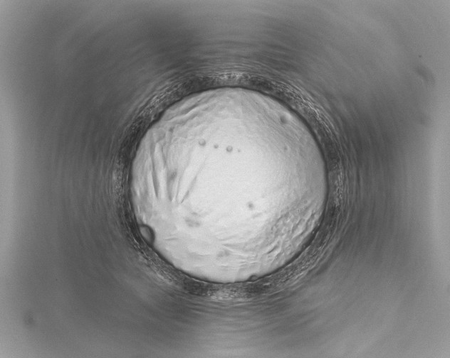 X0000115630561200912011443