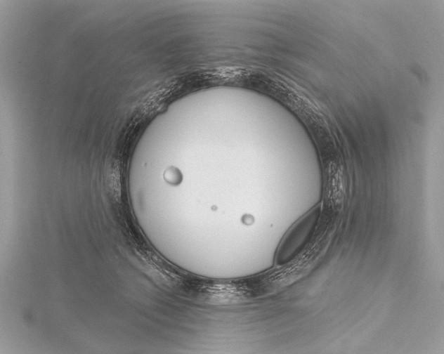 X0000115630562200912011443