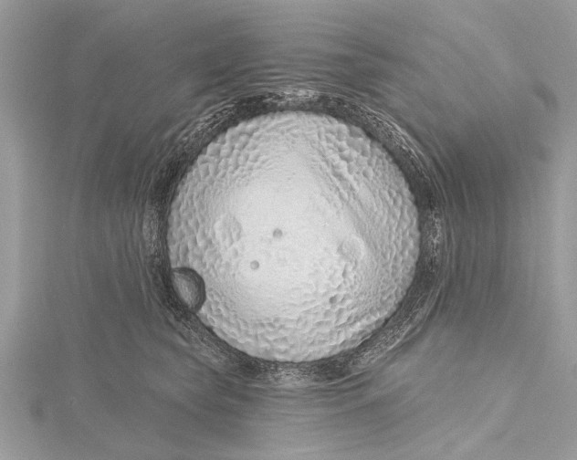 X0000115630565200912011443