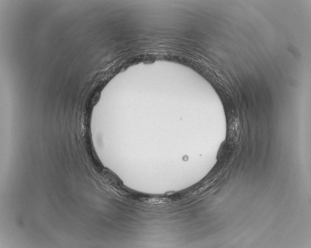 X0000115630566200912011443