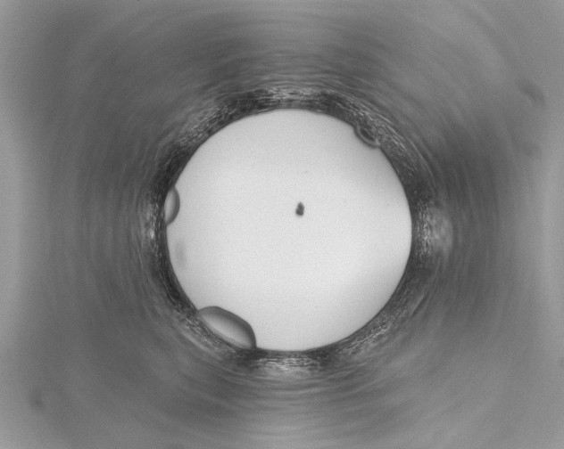 X0000115630567200912011443