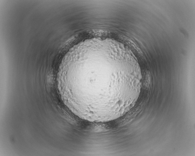 X0000115630569200912011443