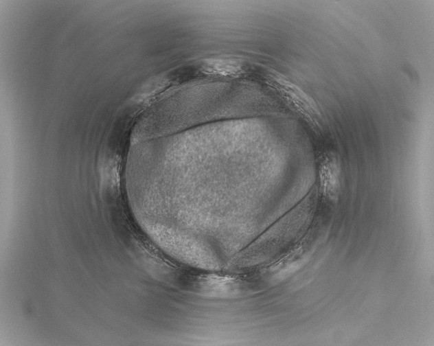 X0000115630570200912011443