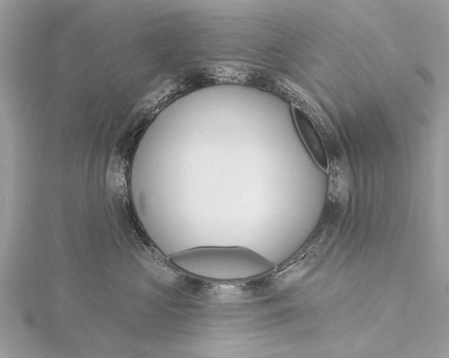 X0000115630573200912011443