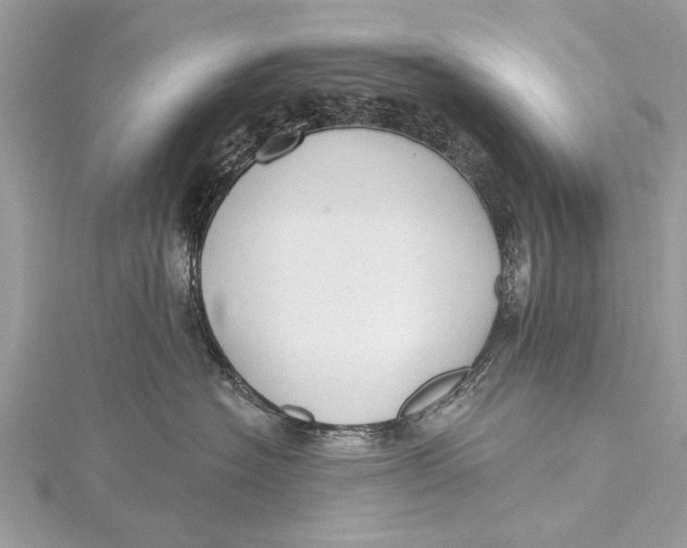 X0000115630574200912011443