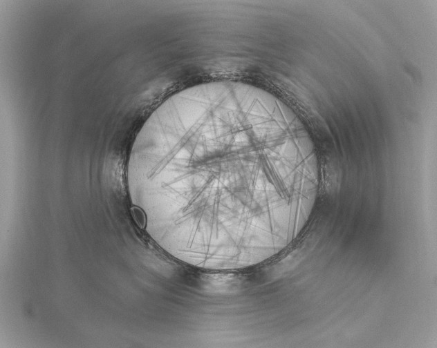 X0000115630575200912011443