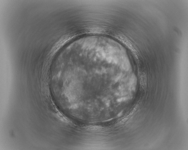 X0000115630577200912011442