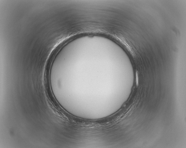 X0000115630579200912011442