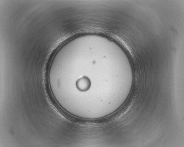 X0000115630581200912011442