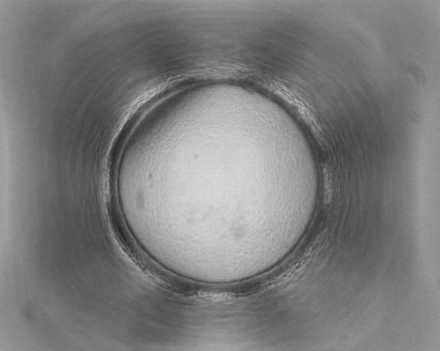 X0000115630582200912011442