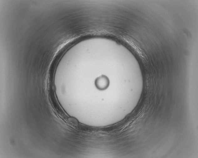 X0000115630583200912011442