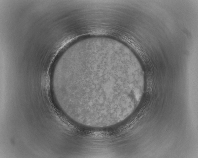 X0000115630584200912011442