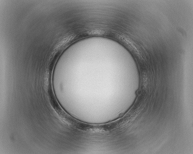 X0000115630586200912011442