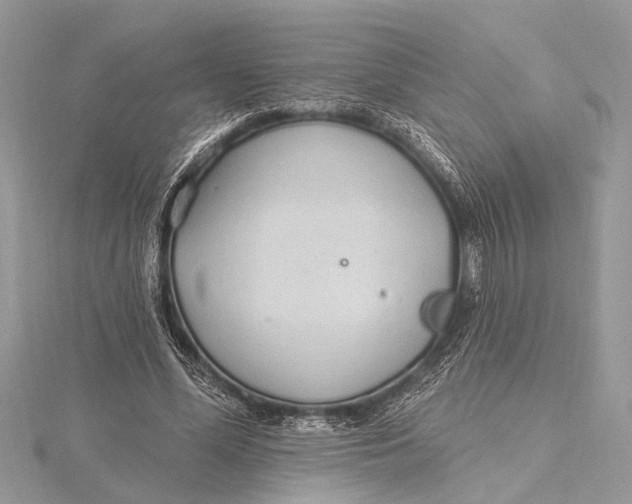 X0000115630588200912011442