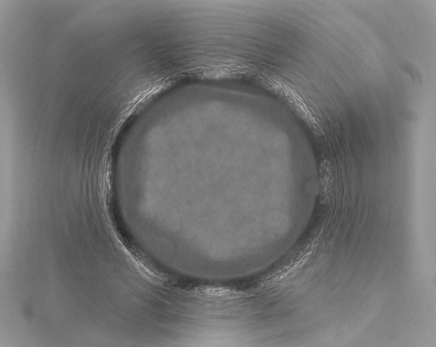 X0000115630590200912011442