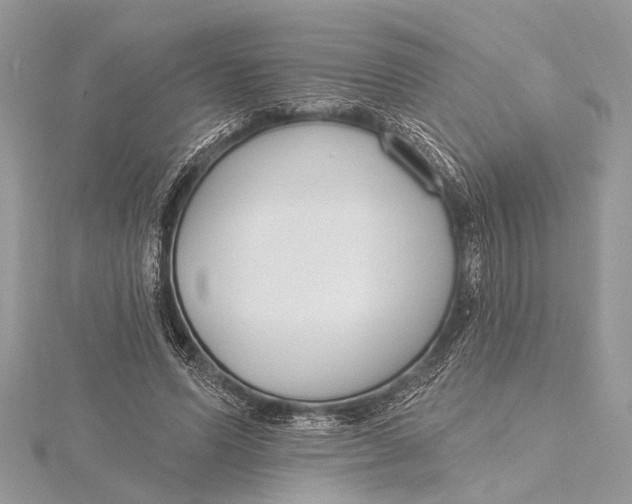 X0000115630591200912011442