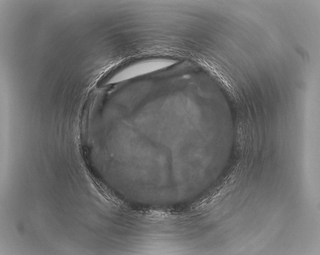 X0000115630592200912011442