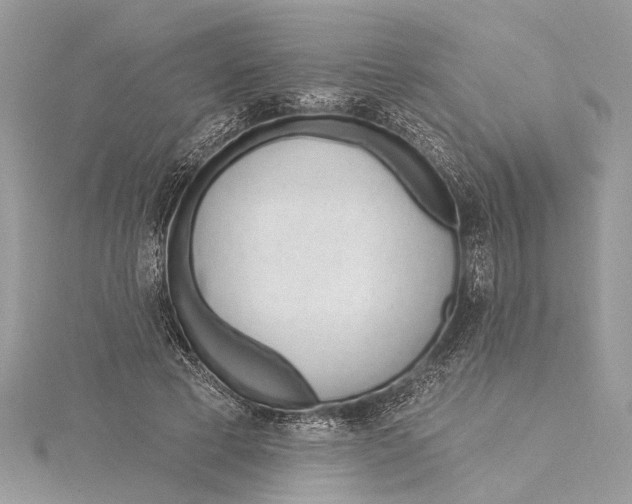 X0000115630593200912011442