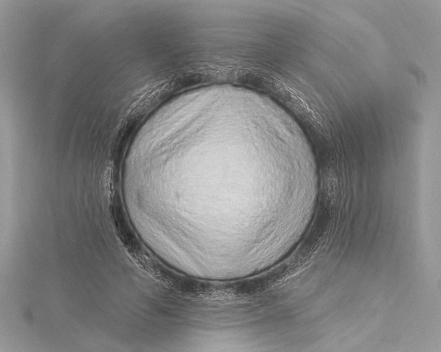 X0000115630594200912011442