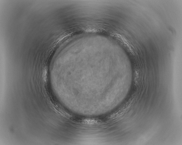 X0000115630596200912011442