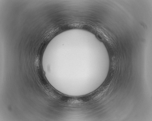 X0000115630597200912011442