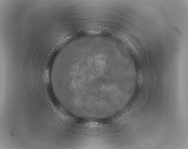 X0000115630598200912011442