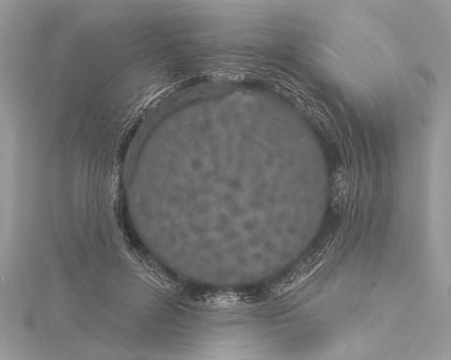 X0000115630600200912011442