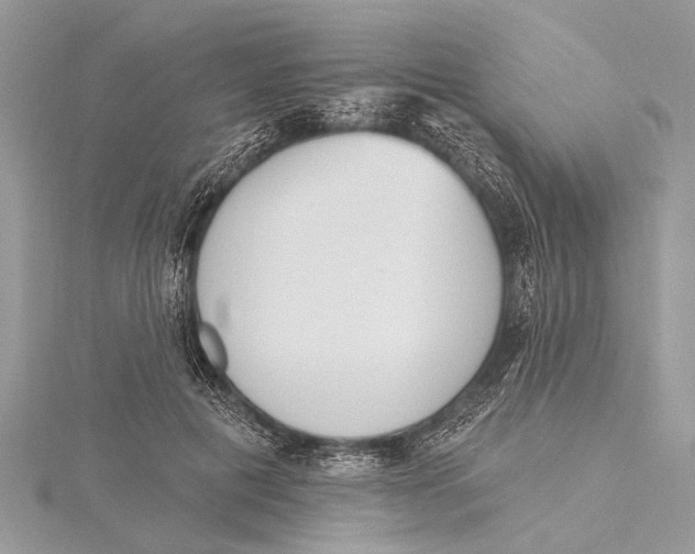 X0000115630601200912011442