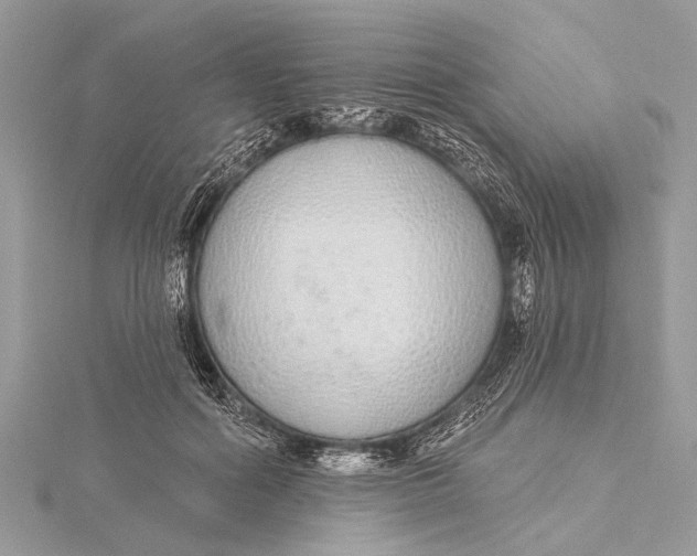 X0000115630602200912011442