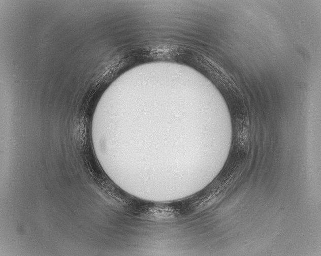 X0000115630603200912011442