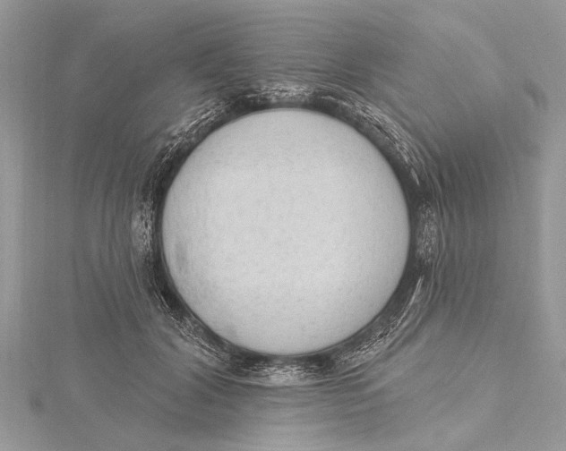 X0000115630604200912011442