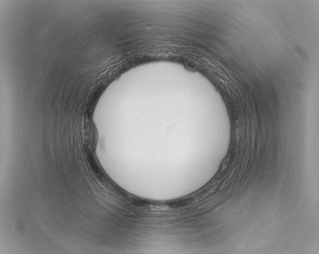 X0000115630605200912011442