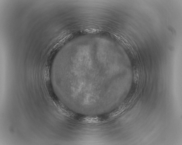 X0000115630606200912011442