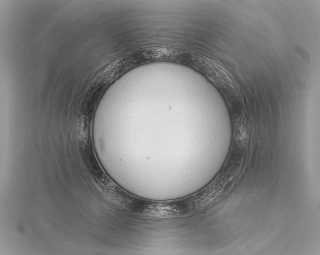 X0000115630607200912011442